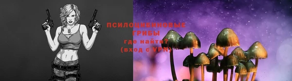 спиды Абинск