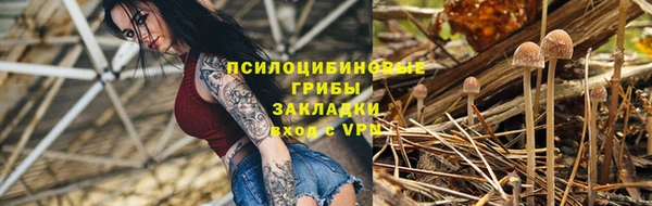 спиды Абинск